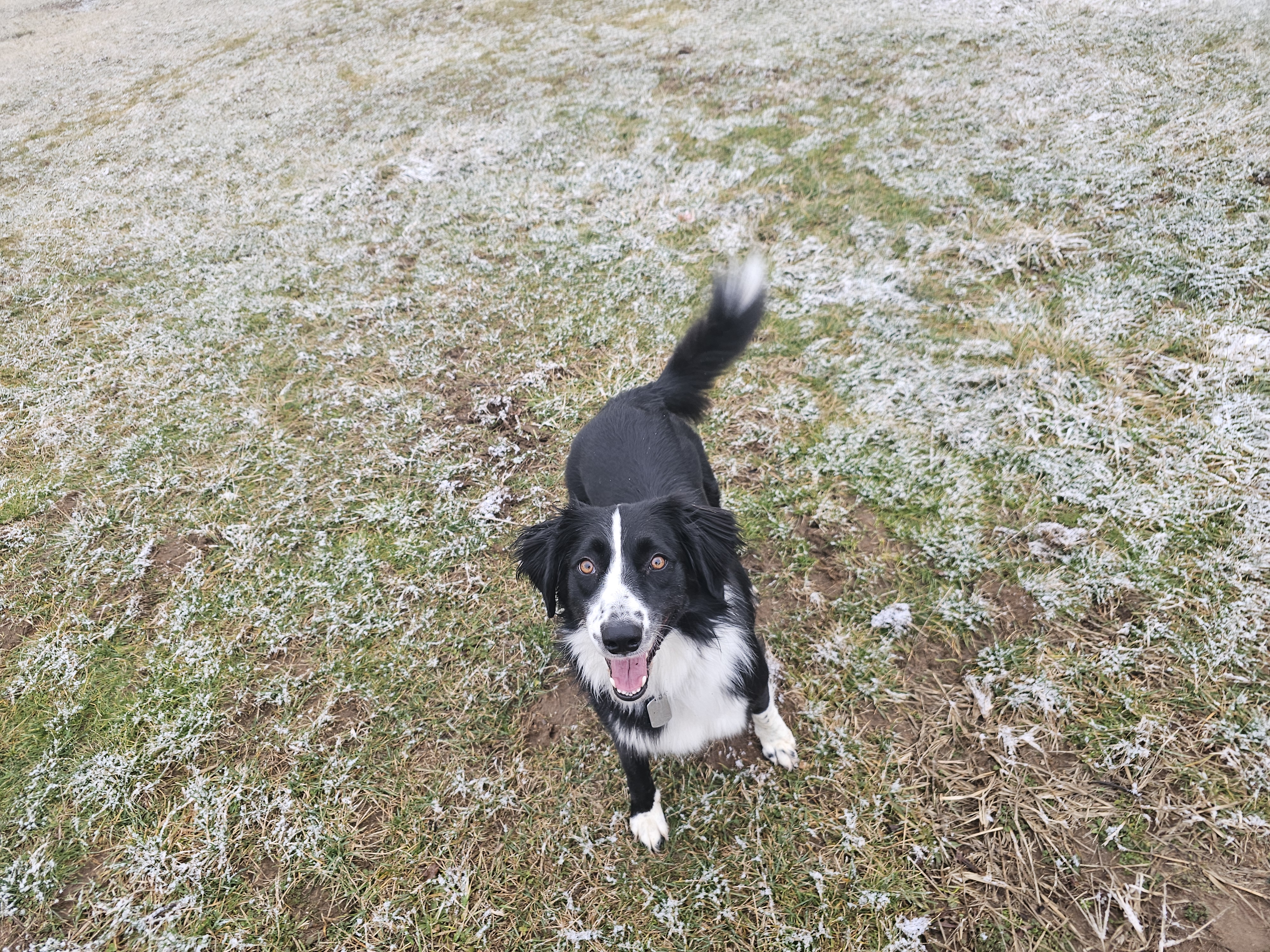 Winnie