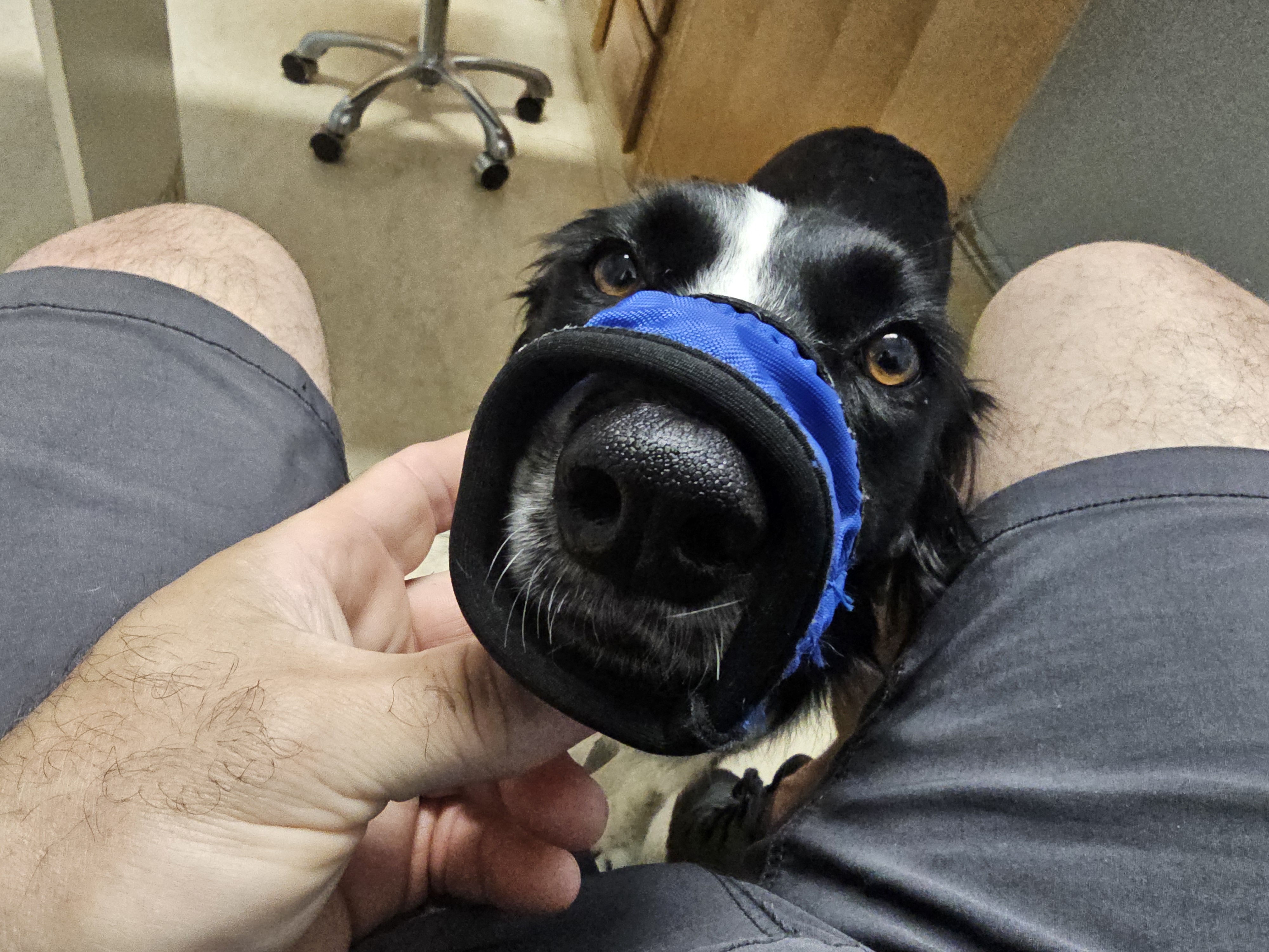 Winnie