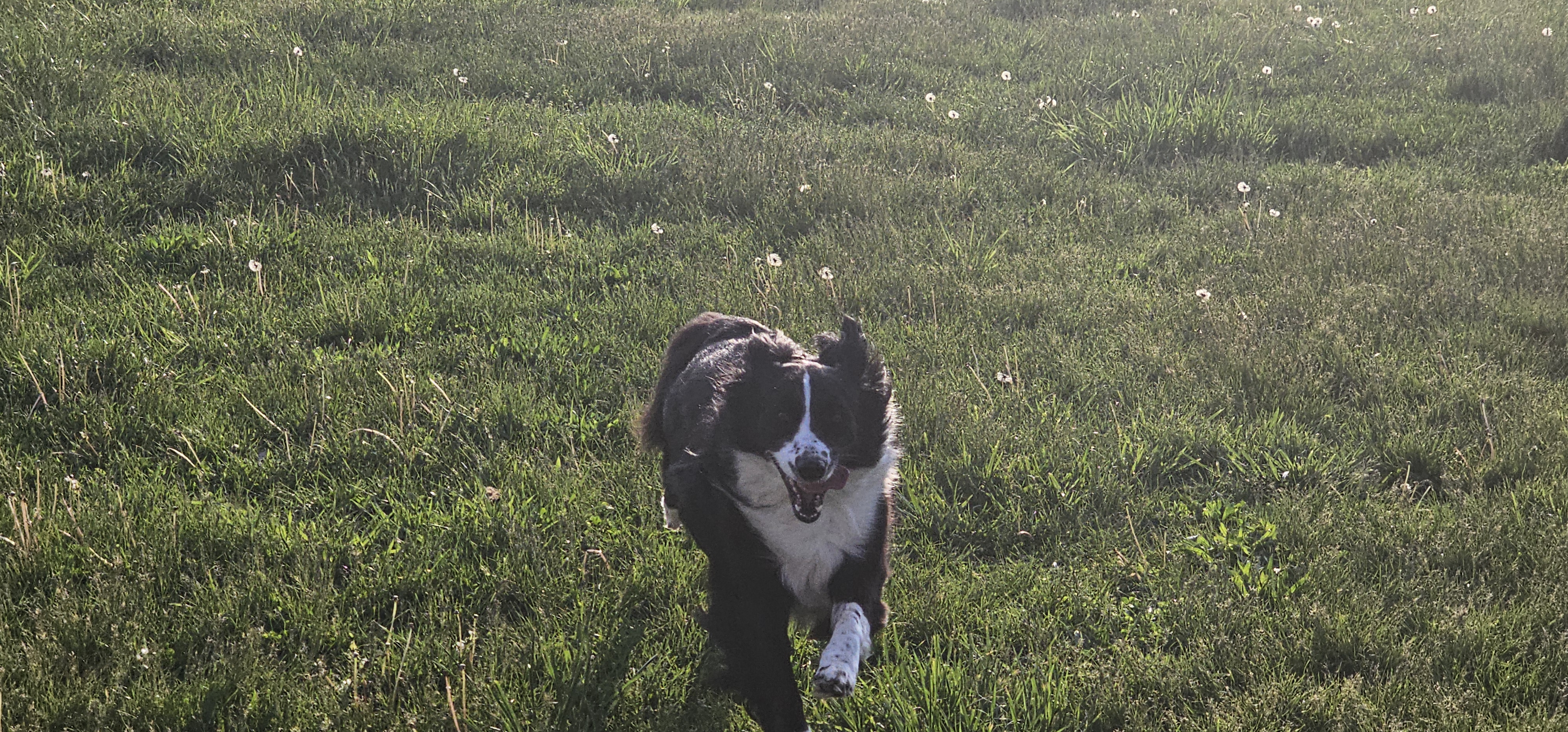 Winnie